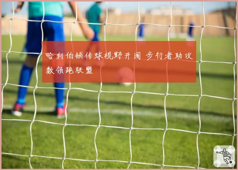 哈利伯顿传球视野开阔 步行者助攻数领跑联盟