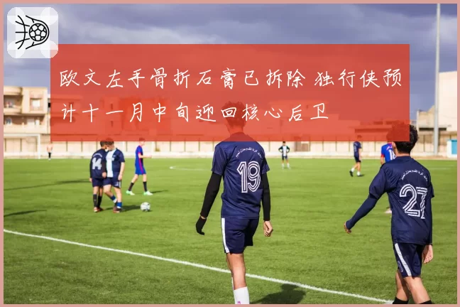 欧文左手骨折石膏已拆除 独行侠预计十一月中旬迎回核心后卫