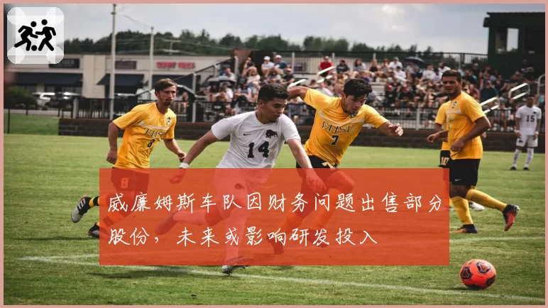 威廉姆斯车队因财务问题出售部分股份，未来或影响研发投入