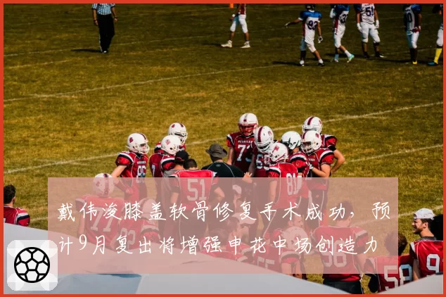 戴伟浚膝盖软骨修复手术成功,预计9月复出将增强申花中场创造力