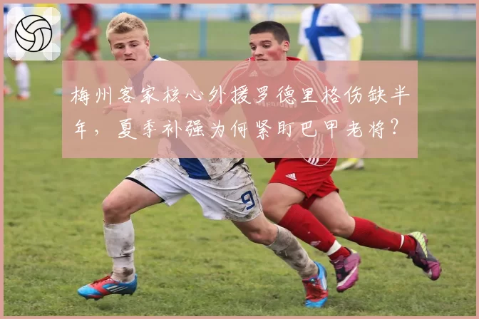 梅州客家核心外援罗德里格伤缺半年，夏季补强为何紧盯巴甲老将？