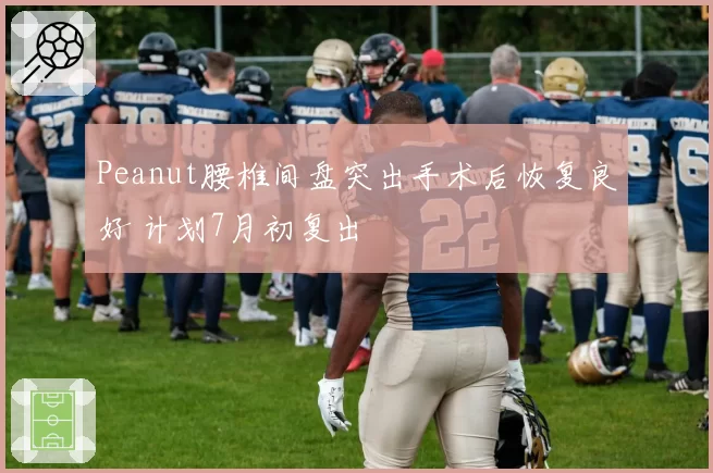 Peanut腰椎间盘突出手术后恢复良好 计划7月初复出